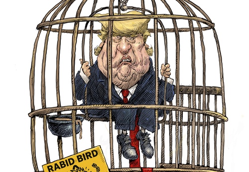 Trump, el pájaro rabioso