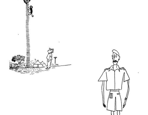 saul steinberg romania