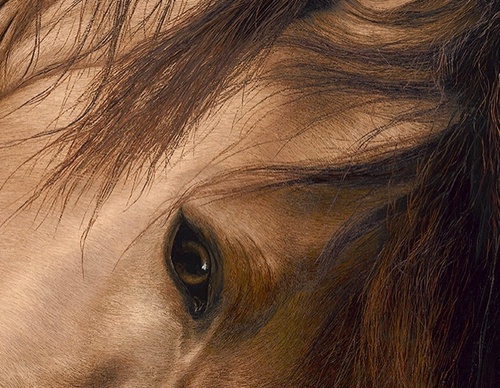 Galería de pintura realista de Annie Drew - Reino Unido