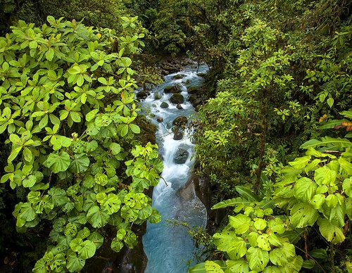costa rica jim zuckerman