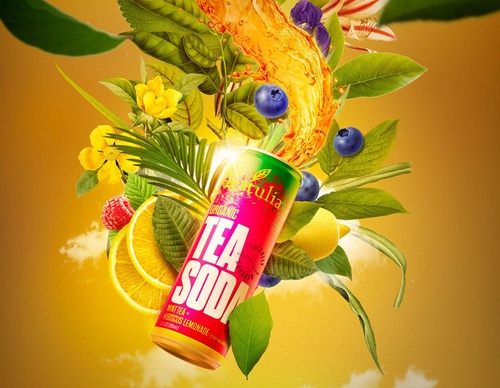 guillermo flores pacheco