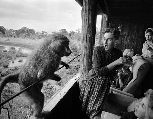 bruno barbey