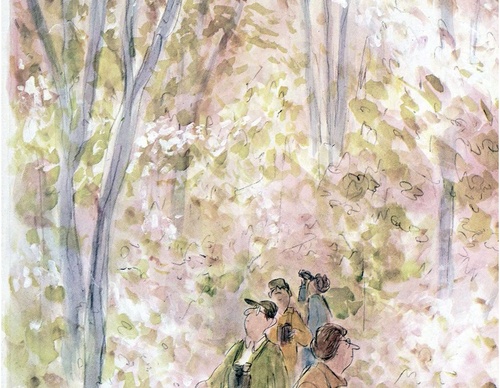 james stevenson