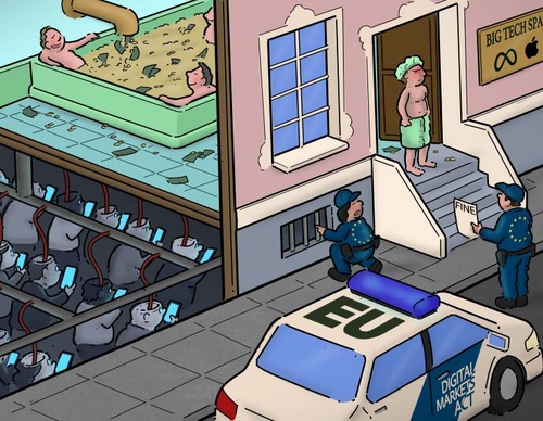 tjeerd royaards
