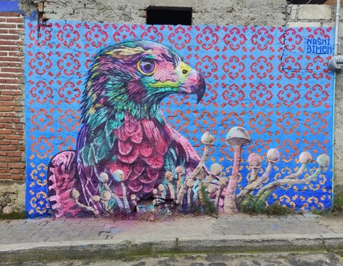 Galería de arte callejero de Nashi Bime - México