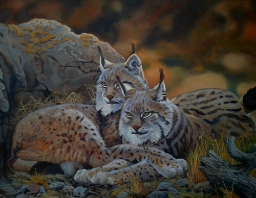 jorge castrillon