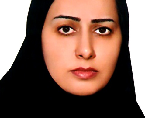 Elham Khalili Mehr