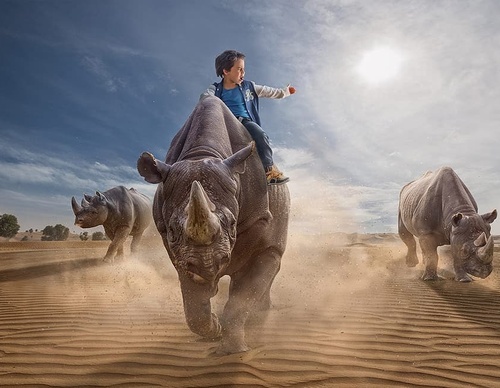 Galeria De Fotografia De Adrian Sommeling - Holanda