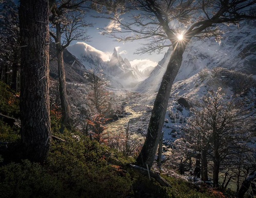 Gallery Of Photography By Max Rive - Netherlands