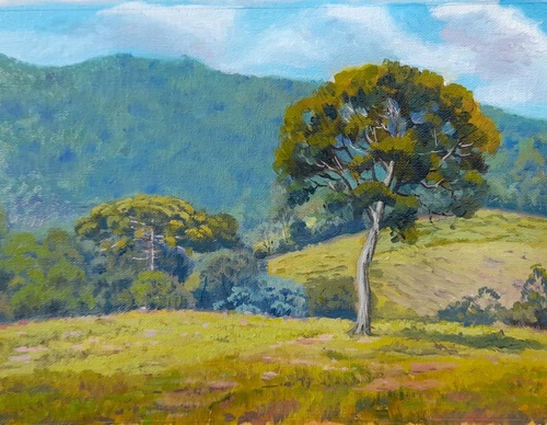 Gallery Of Painting By Willian Vallim - Brazil