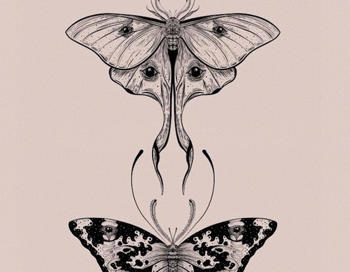 Galería de dibujos de The Little Wilderness - Inglaterra