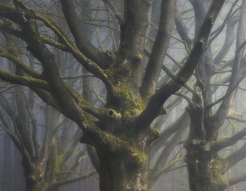 Galería de fotografía de Gijs de Reijke - Holanda