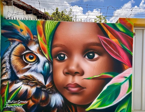 Gallery Of Street Art By Fábio Gomes Trindade - Brazil