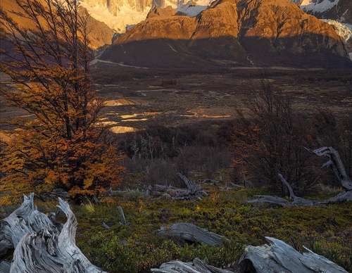 Galería de fotografía de Greg Boratyn - Argentina