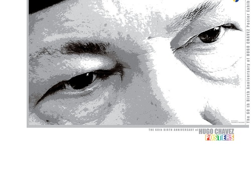 chavez posters