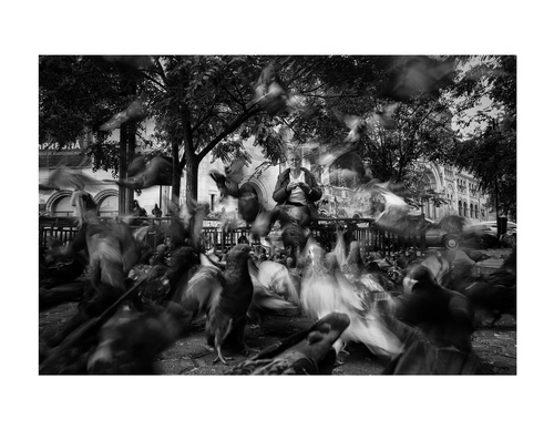Galeria de fotografia de Ovidiu Șelaru - Romênia