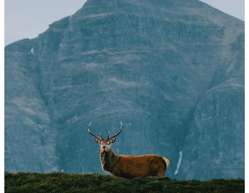 Gallery Of Photography By Daniel Casson - United Kingdom