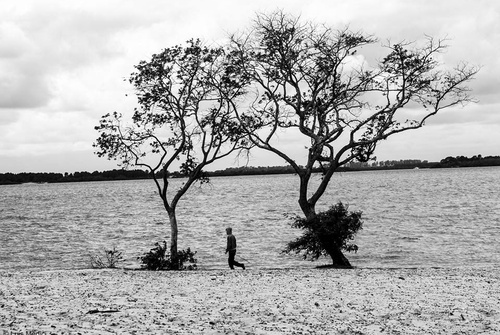 Gallery Of Photography By Luis Médici - Argentina