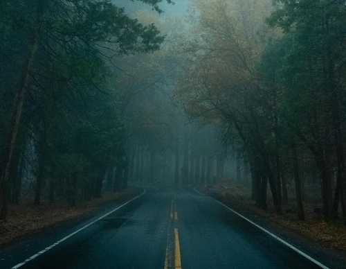 Galeria de fotografias de Tyler Glass - EUA