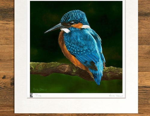 Galería de pintura realista de Annie Drew - Reino Unido