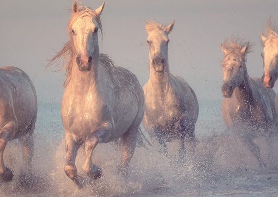Gallery Of Photography By Chris Byrne - Colombia