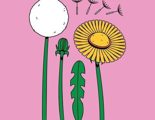 Gallery Of Illustration by Nora Gazzar- United Arab Emirates