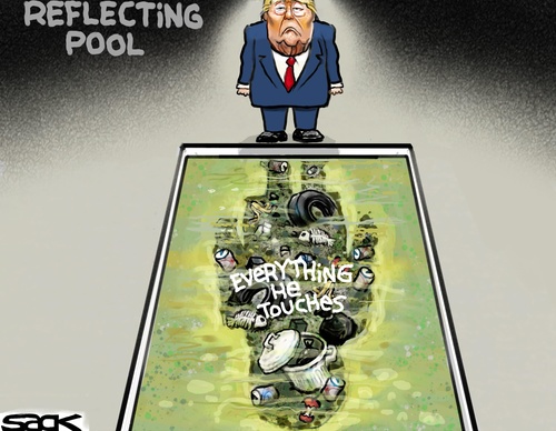 steve sack