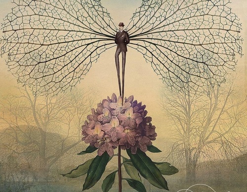 Gallery Of Illustration By Catrin Welz Stein - Germany