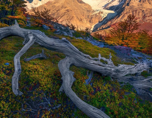 Galería de fotografía de Greg Boratyn - Argentina