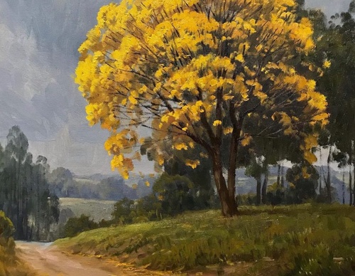 Gallery Of Painting By Plein Air Studio-Brazil