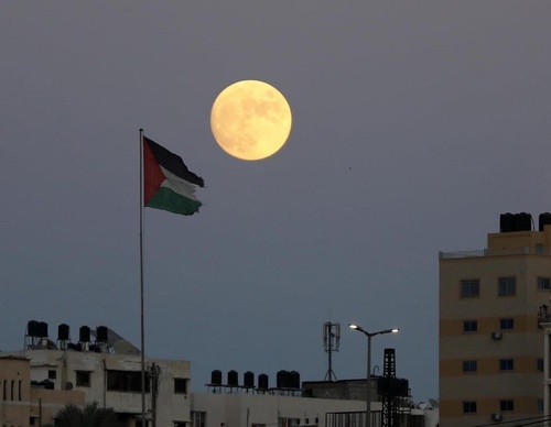 Galería de fotografías de Mohammed Zaanoun - Palestina