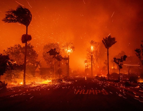 world press photo