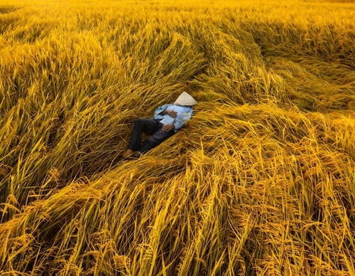 Gallery Of Photography By Réhahn - France