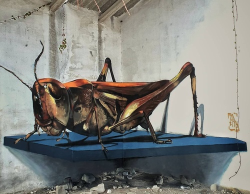 Gallery Of Street Art By Odeith - Portugal