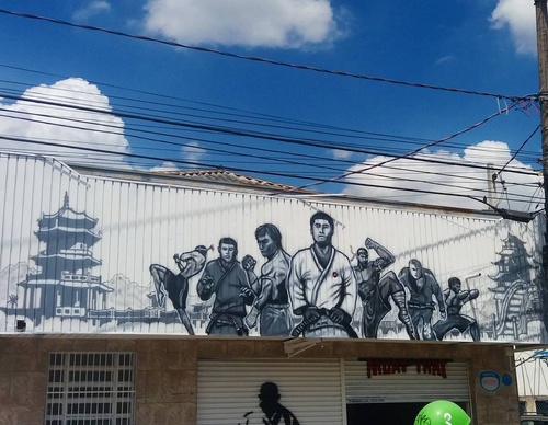Gallery Of Street Art By Diego Forms - Brazil
