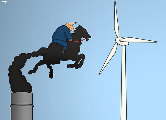 Tjeerd Royaards