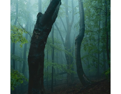 Galería de fotografías de Pujan Shadlau - Austria