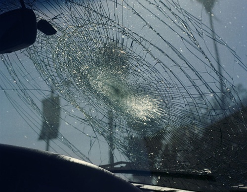 gregory halpern