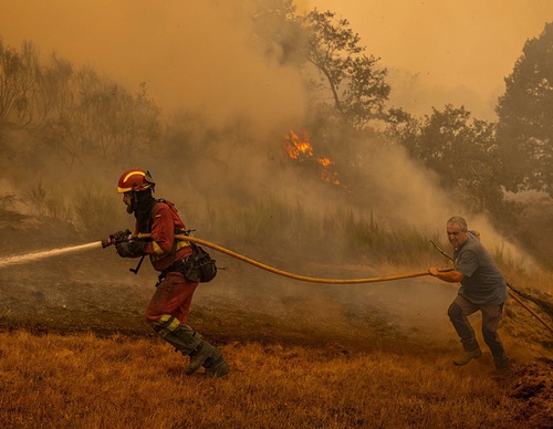 world press photo
