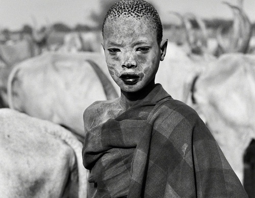 Galeria de Fotografia de Sebastião Salgado-Brasil