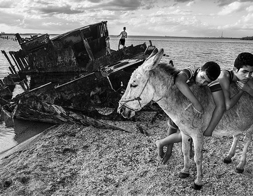 raul canibano
