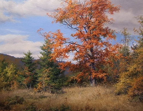 Gallery Of Painting By Andrew Orr - Mexico