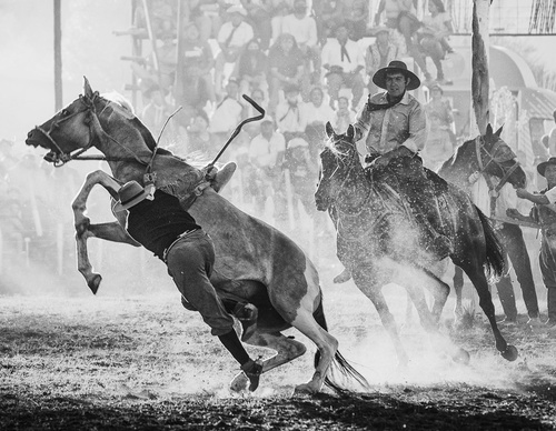 Galería de fotografía de Patricio Rodríguez - Argentina