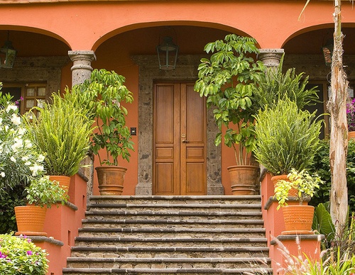 mexican architecture jim zuckerman