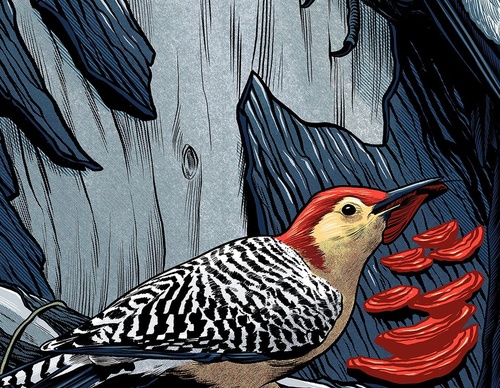 Galeria de ilustrações de Pedro Correa - Brasil