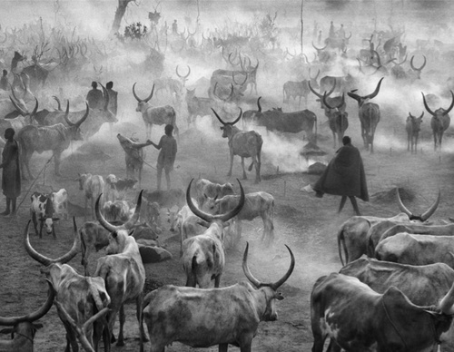 Galería de fotografía de Sebastião Salgado - Brasil