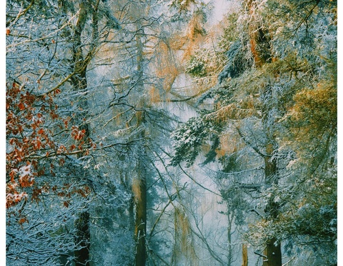 Gallery Of Photography By Daniel Casson - United Kingdom