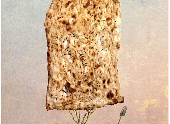 Mahdieh Sabbaghkar