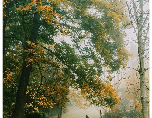 Gallery Of Photography By Daniel Casson - United Kingdom