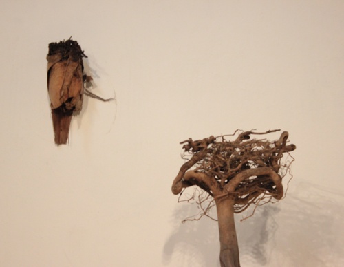Galería De Arte Moderno De Beatriz Cortez - Ecuador